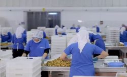 14 Ülkeye İhracat Yapan Türk Gıda Devi Konkordato İlan Etti