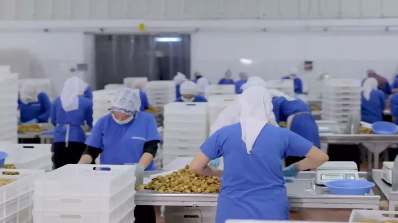 14 Ülkeye İhracat Yapan Türk Gıda Devi Konkordato İlan Etti