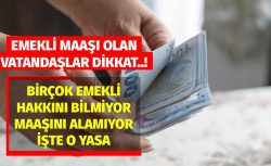 Emekliler bilmiyor maaşını alamıyor! Uzmanı detaylarını açıkladı